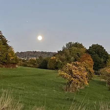 Апартаменты Ein Traum Am Waldrand Неккаргемюнд