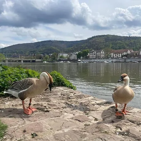 Ein Traum Am Waldrand Апартаменты *